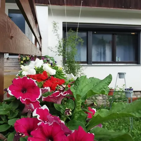 Gasthuis Privat Tatry Dreams *