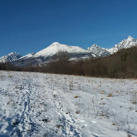 Privat Tatry Dreams 招待所 Nová Lesná