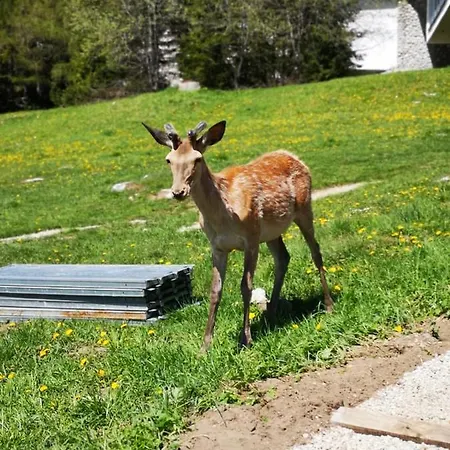 Penzión pre hostí Privat Tatry Dreams 4*