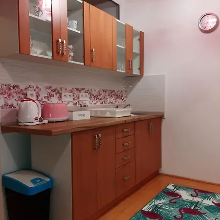 Privat Tatry Dreams 게스트하우스 Nová Lesná